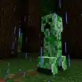 A creeper in a dark forest.