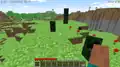 Creepers in Survival_Test.