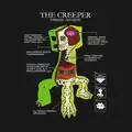 Official artwork "Creeper Anatomy" for merchandise made by JINX.