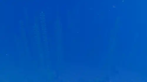 Deep Cold Ocean Vibrant Visuals.png: Infobox image for Ocean biomes the biome in Minecraft