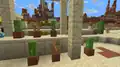 Potted cacti can be found in desert villages.