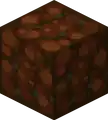 Secondary dirt texture.