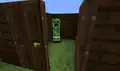A creeper behind some dark oak doors.