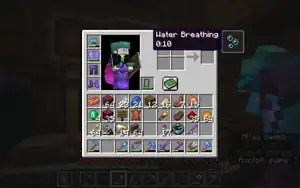 An effect visible in a compact form in the inventory.