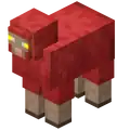 An enchanted red sheep.