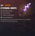 The eternal knife within the inventory.