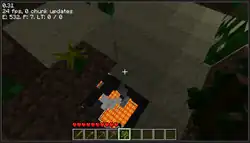 A see-through glitch.