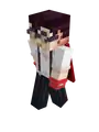 Second Minecraft skin.
