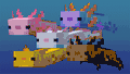 A flock of Minecraft axolotls swimming through the water.