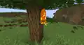 A flaming spectral arrow stuck in a tree.