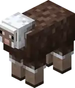 Flecked Sheep.png: Infobox image for Flecked Sheep the entity in Minecraft