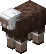 Flecked Sheep Blink.png: Infobox image for Flecked Sheep the entity in Minecraft