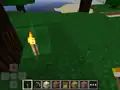 A torch from a Pocket Edition Alpha version with a cross outline box.