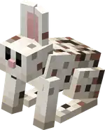 Freckled Rabbit.png: Infobox image for Freckled Rabbit the entity in Minecraft