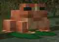 A frog at Minecraft Live 2021.
