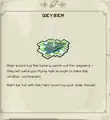 Geyser journal entry.