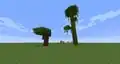 A dark oak (left) and a mega jungle tree (right).