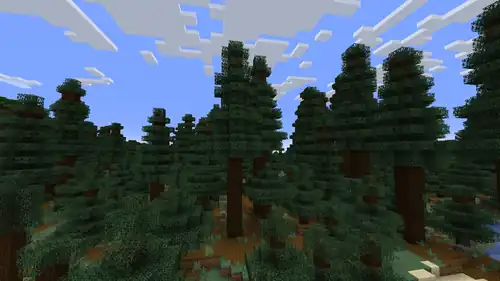 Naturally generated podzol in a old growth spruce taiga biome.