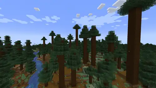 Naturally generated podzol in a old growth taiga biome.
