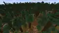 A giant tree taiga single biome world before 1.18.