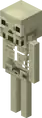 Skeleton