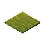 Green Carpet (inventory) MCE.png: Infobox image for Carpet the block in Minecraft