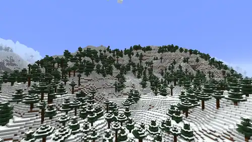 An image of a grove biome in Minecraft