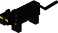 Black cat (cat)