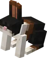 Harelequin Rabbit Blink.png: Infobox image for Harelequin Rabbit the entity in Minecraft