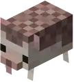Hedgehog.png: Infobox image for Hedgehog the dungeons entity in Minecraft