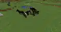 Showing the result of right-clicking a spawn egg on a horse while mounted.