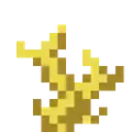 Horn Coral as appeared in the Update Aquatics artwork.