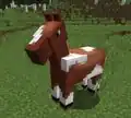 The current horse model.