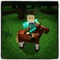 An image posted by Jeb on Instagram. Note the saddle usage.[12]