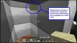 Screenshot of the item glitch in this version.