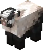 Inky Sheep.png: Infobox image for Inky Sheep the entity in Minecraft
