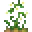 Invicon Potato flower.png: Inventory sprite for Potato flower in Minecraft as shown in-game linking to Potato flower with description: Potato flower
