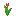 Invicon Red Tulip.png: Inventory sprite for Red Tulip in Minecraft as shown in-game linking to Red Tulip with description: Red Tulip