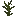 Invicon Shrub LCE.png: Inventory sprite for Shrub in Minecraft as shown in-game with description: Shrub