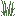 Invicon Tall Grass.png: Inventory sprite for Tall Grass in Minecraft as shown in-game linking to Tall Grass with description: Tall Grass