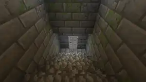 Naturally occurring iron door in a stronghold.