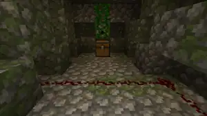 The chest guarded by dispenser traps.