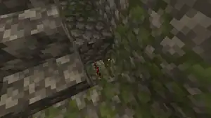 The secret door revealing the hidden chest in the chamber.