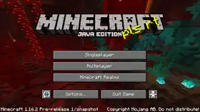 Java Edition 1.16.2 Pre-release 1.png: Infobox image for Minecraft 1.16.2 Pre-release 1 the version in Minecraft