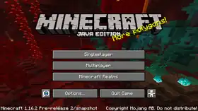 Java Edition 1.16.2 Pre-release 2.png: Infobox image for Minecraft 1.16.2 Pre-release 2 the version in Minecraft