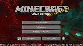 Java Edition 1.16.4 Pre-release 1.png: Infobox image for Minecraft 1.16.4 Pre-release 1 the version in Minecraft