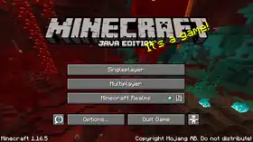 Java Edition 1.16.5.png: Infobox image for Minecraft 1.16.5 the version in Minecraft