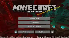 Java Edition 1.16 Pre-release 2.png: Infobox image for Minecraft 1.16 Pre-release 2 the version in Minecraft