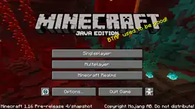 Java Edition 1.16 Pre-release 4.png: Infobox image for Minecraft 1.16 Pre-release 4 the version in Minecraft