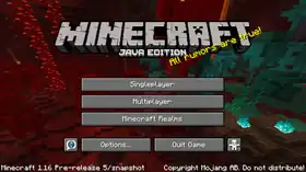 Java Edition 1.16 Pre-release 5.png: Infobox image for Minecraft 1.16 Pre-release 5 the version in Minecraft